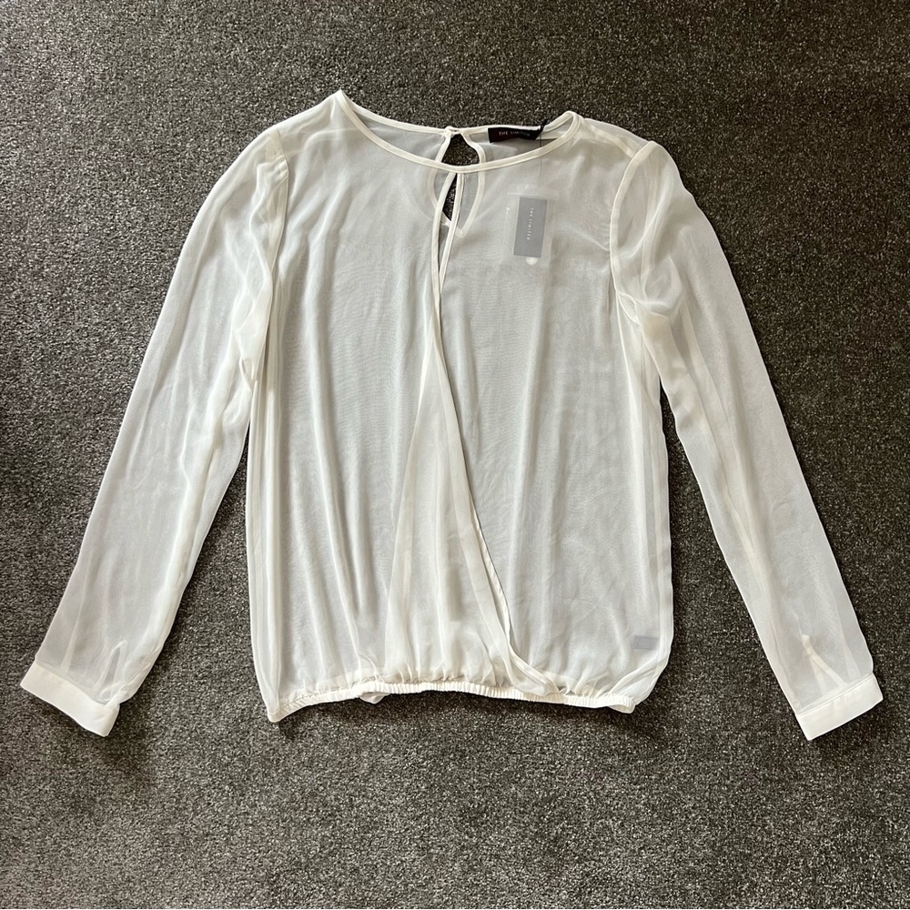 The Limited Sheer Blouse
